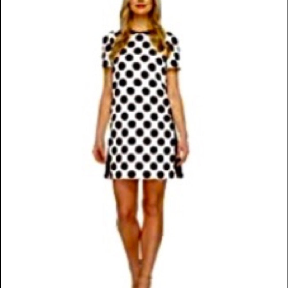 Tahari ASL Ivory/Black Polka Dot Dress